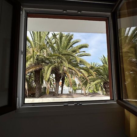 Phoenix Canariensis San Juan de la Rambla Exterior photo